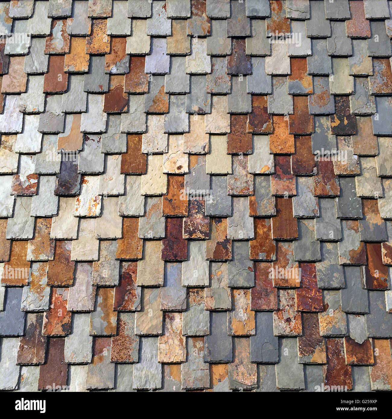 Close-up de tuiles sur un toit en ardoise Banque D'Images