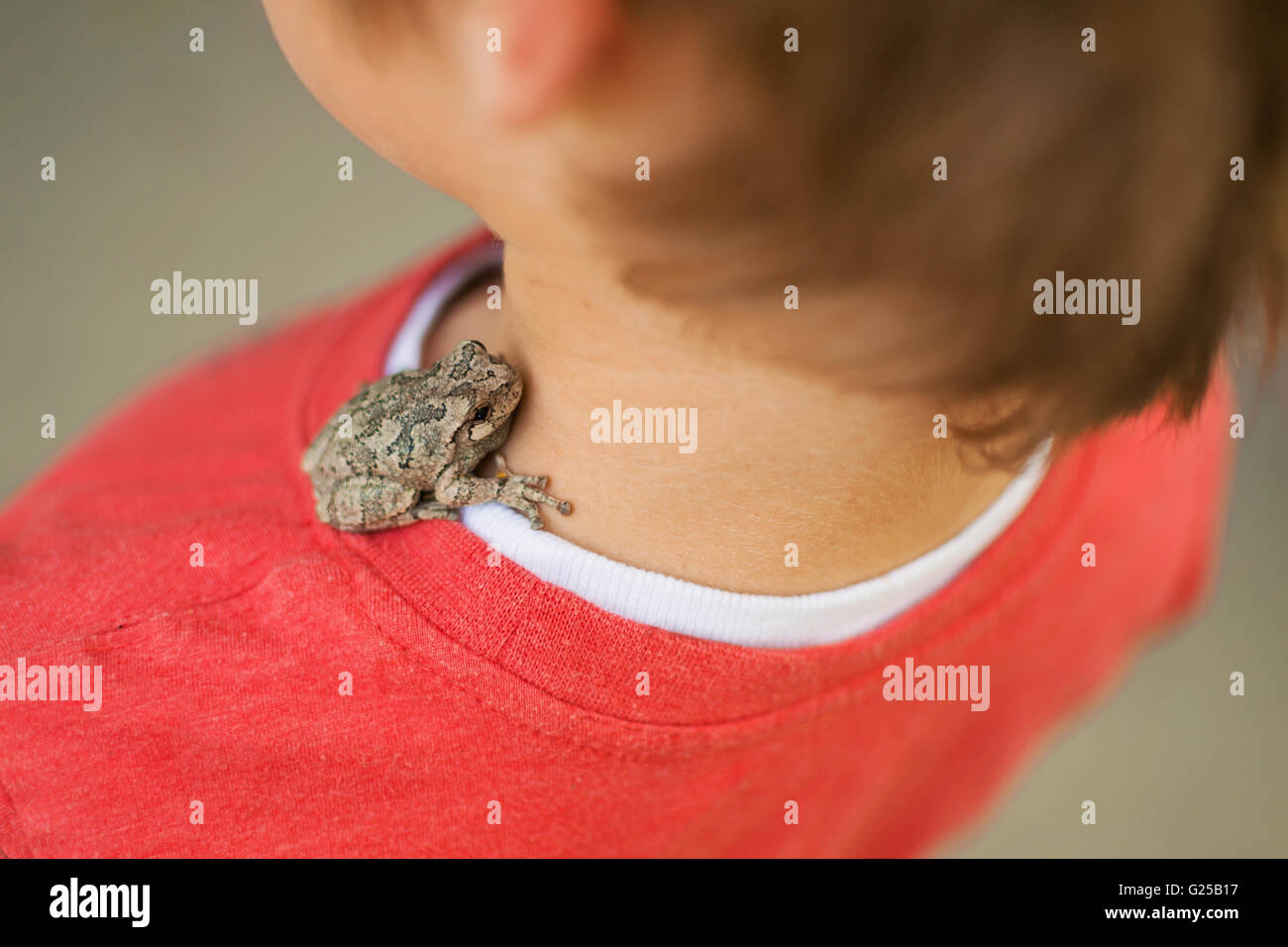 Toad assis sur l'épaule du garçon Banque D'Images