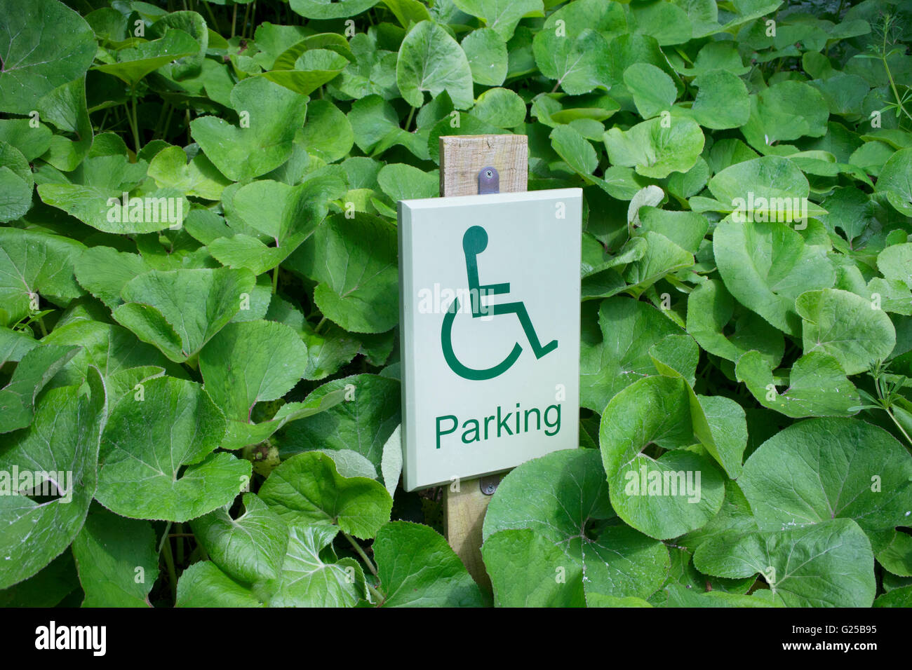 Mobilité Parking Sign Banque D'Images