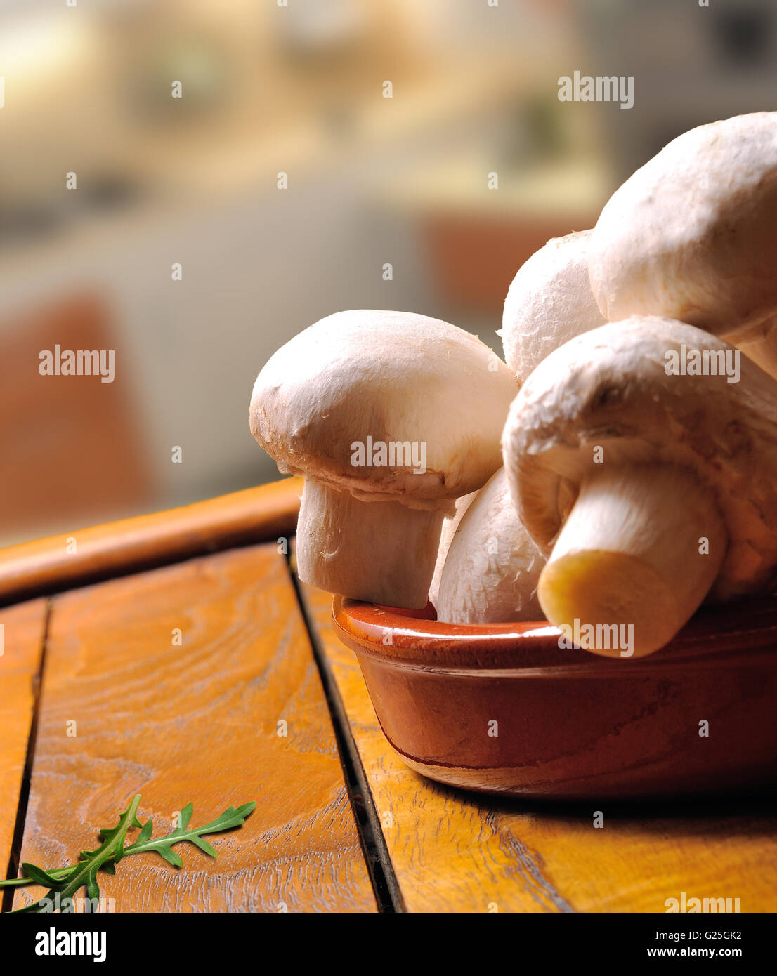 Groupe de champignons dans un bol sur une table dans la cuisine Banque D'Images