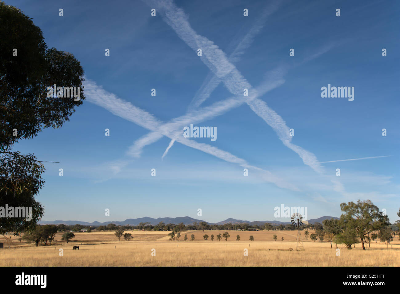 Des traînées de vapeur d'aéronefs au-dessus de terres agricoles, Tamworth NSW Australie. Banque D'Images