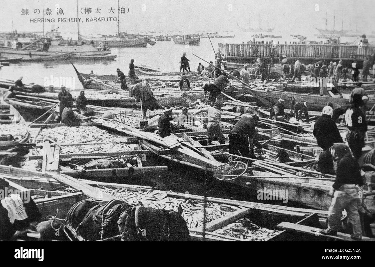 La pêche de hareng, Odomari, Karafuto, Hokkaido, Japon. c 1921. Banque D'Images