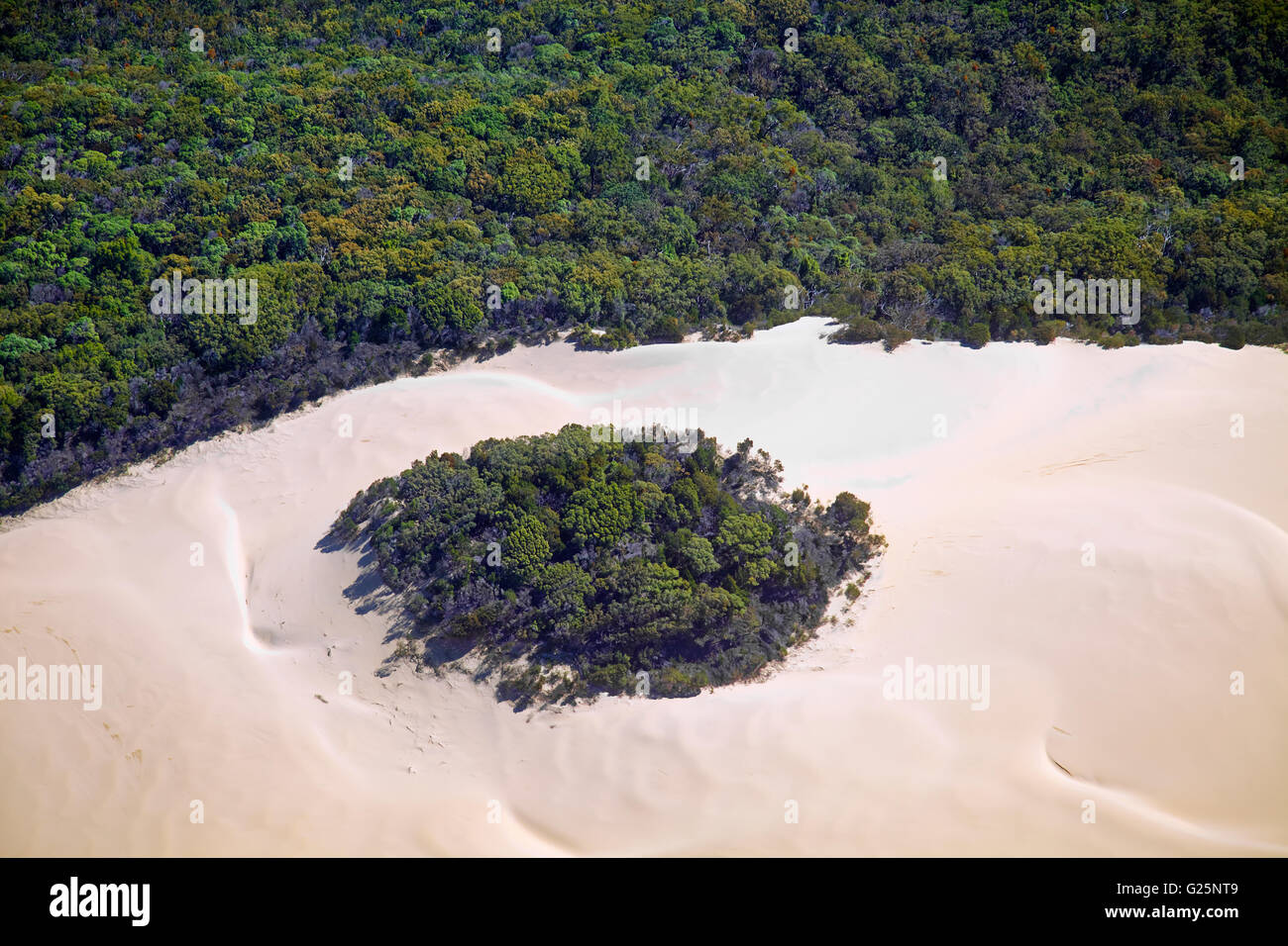 Vue aérienne, sable, Plage, Forêt, UNESCO World Heritage Site, Fraser Island, Great Sandy National Park, Queensland, Australie Banque D'Images