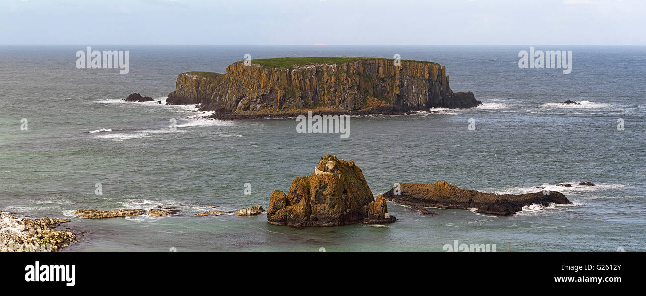 Larry Bane Tête et l'Île Brebis sur la façon de l'Ulster et de Causeway Coastal Route le comté d'Antrim en Irlande du Nord Banque D'Images