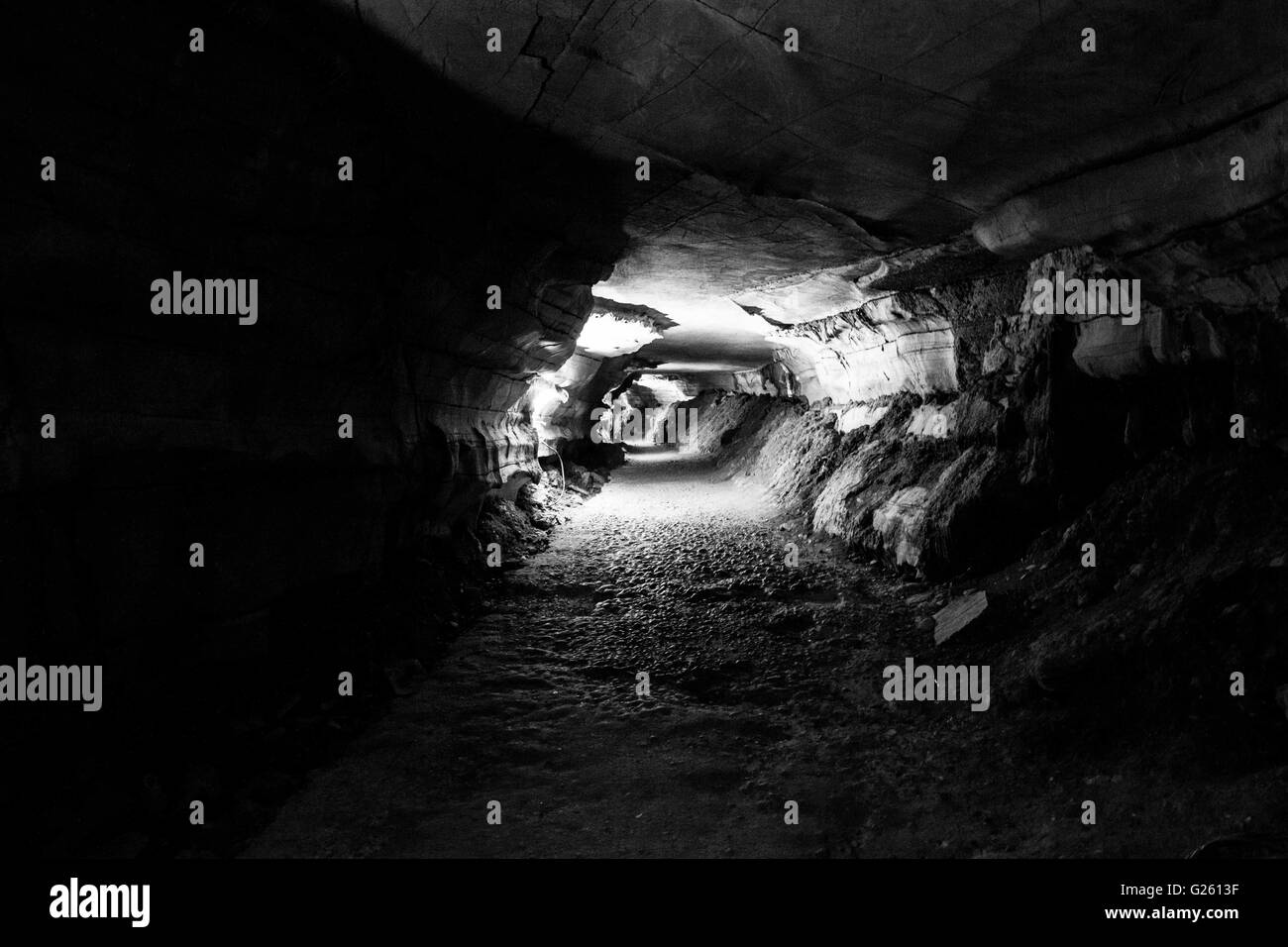 Un passage dans les grottes de Belum Banque D'Images
