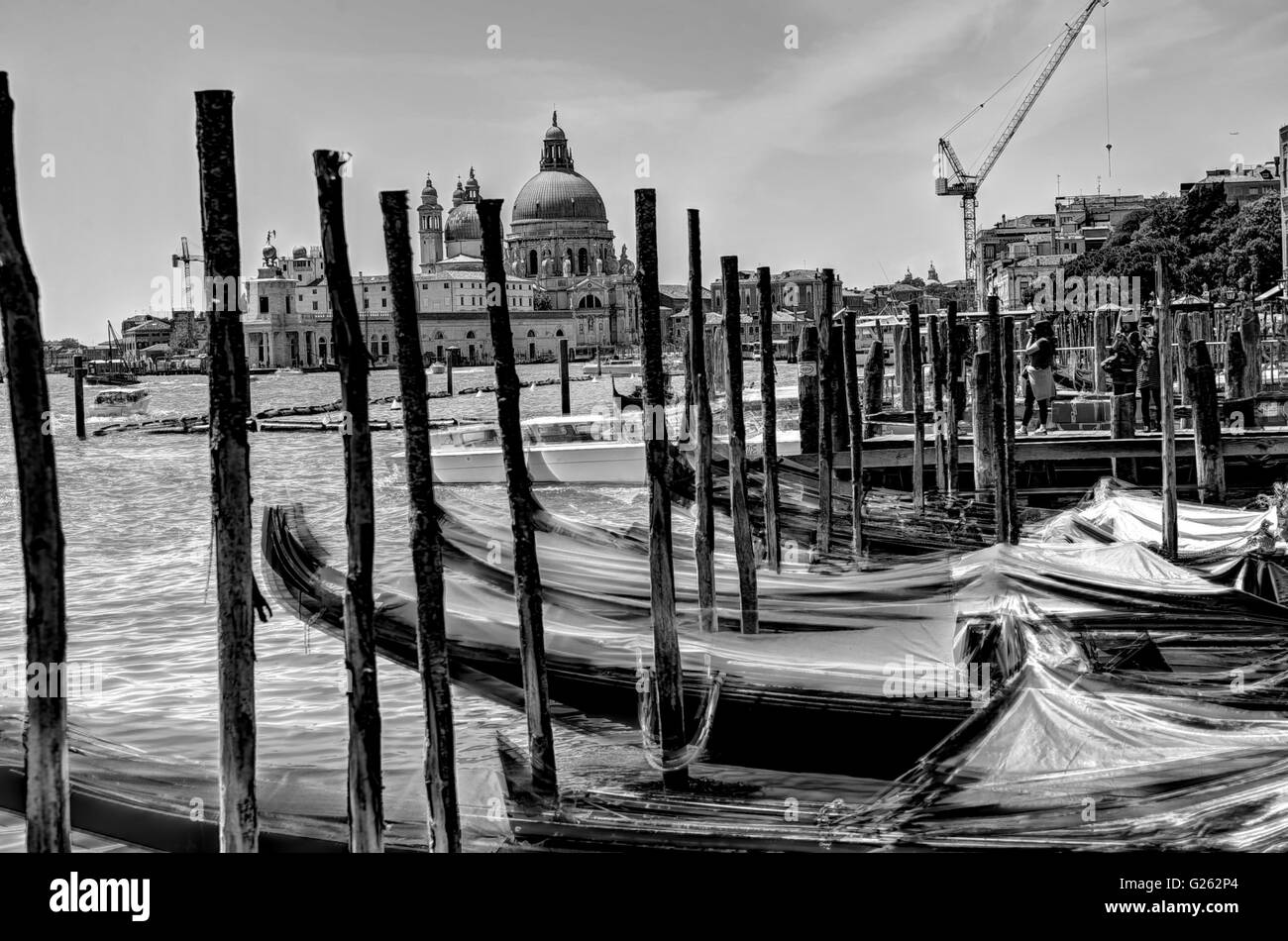 Croisière guidée de Venise Banque D'Images