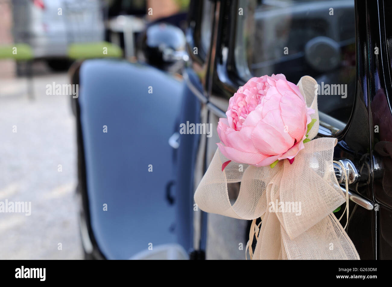 Porte de voiture de mariage noir avec fleur et arc blanc vue arrière Banque D'Images