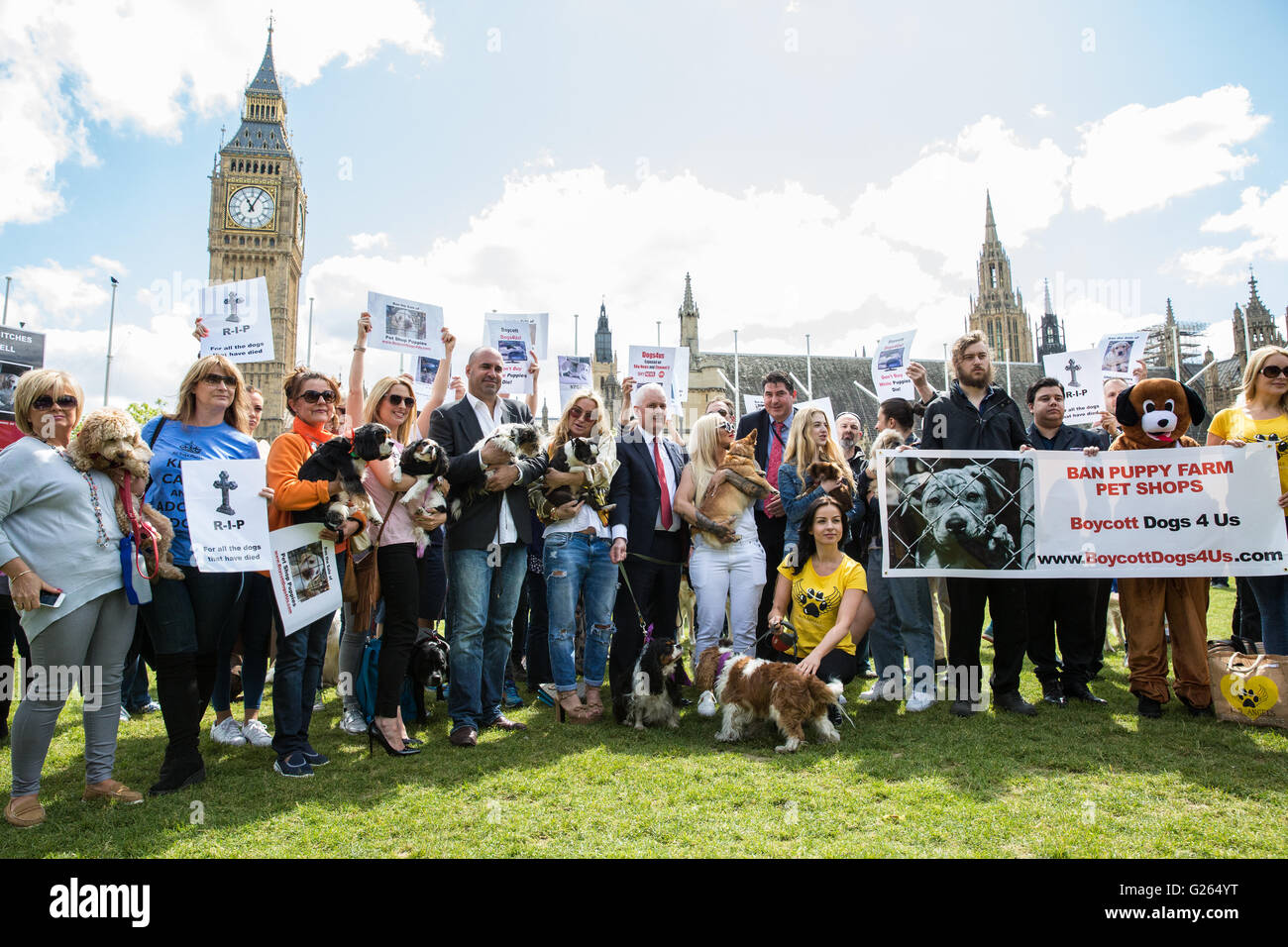 Londres, Royaume-Uni. 24 mai, 2016. Protestation des militants de l'extérieur du Parlement contre l'approvisionnement en magasin pour animaux de compagnie chiens4Us de Chiots chiot de fermes. L'environnement, de l'Alimentation et des Affaires rurales sous-comité sont actuellement une enquête sur la vente de chiens dans le cadre d'une enquête sur le bien-être des animaux. Credit : Mark Kerrison/Alamy Live News Banque D'Images