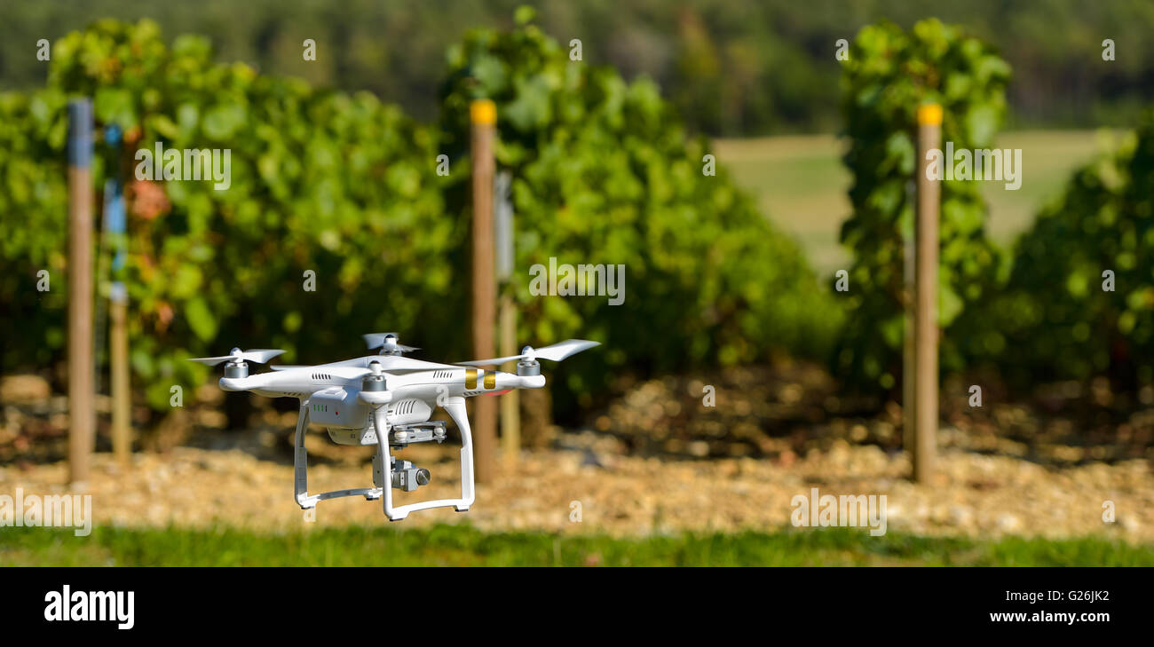 L'utilitaire de vol au vignoble de Champagne France drone Banque D'Images