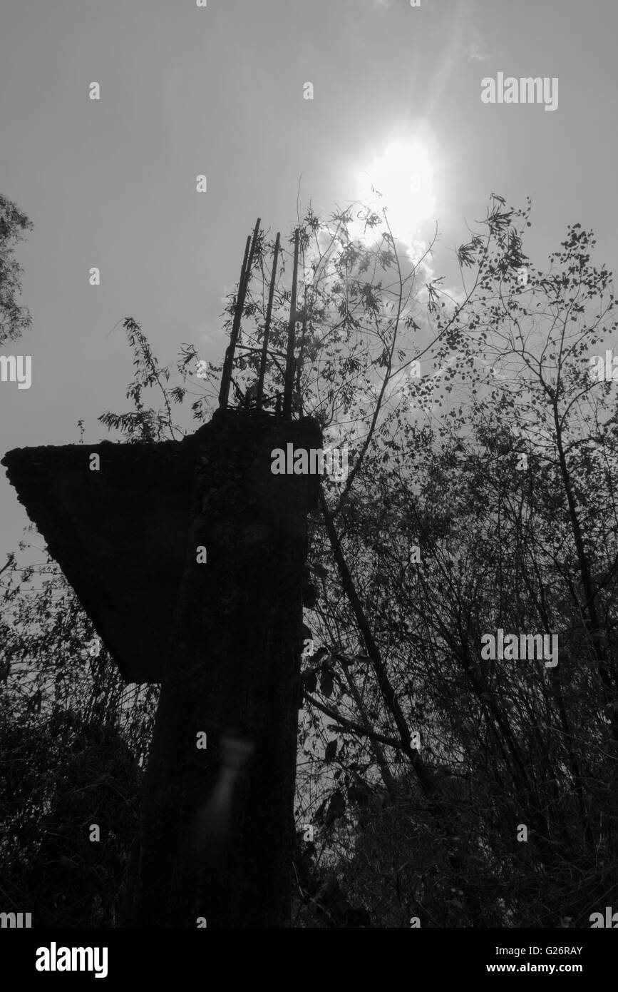 Site de construction délabrée abandonnés récupérés des ruines à l'intérieur de la nature de la croissance des forêts Banque D'Images