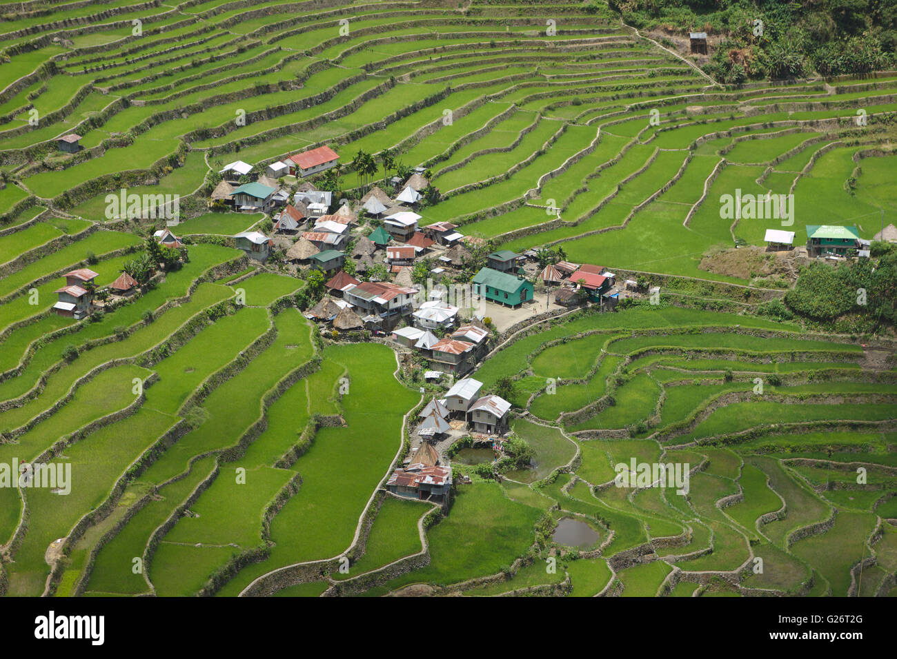 Batad, village Ifuago rizières en terrasses, Philippines Banque D'Images