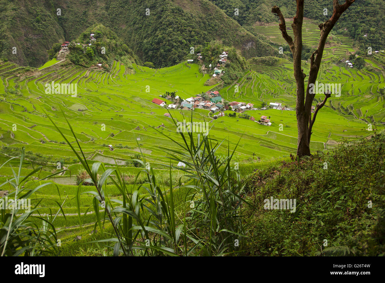 Batad, village Ifuago et rizières en terrasses, Philippines Banque D'Images