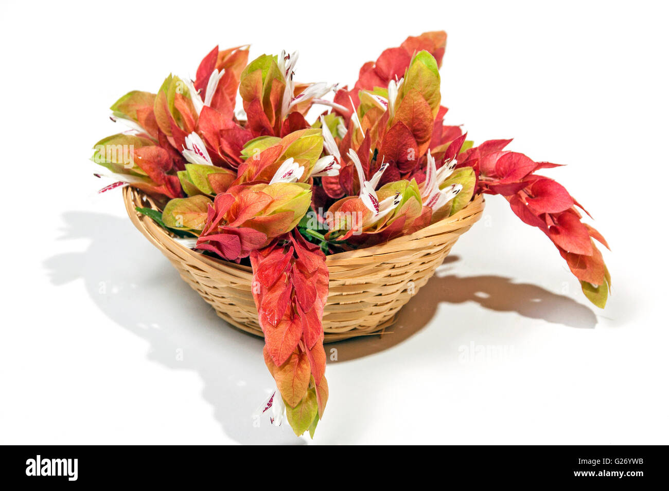 Affichage des crevettes Crevettes roses fleurs en tissu panier en osier  Photo Stock - Alamy