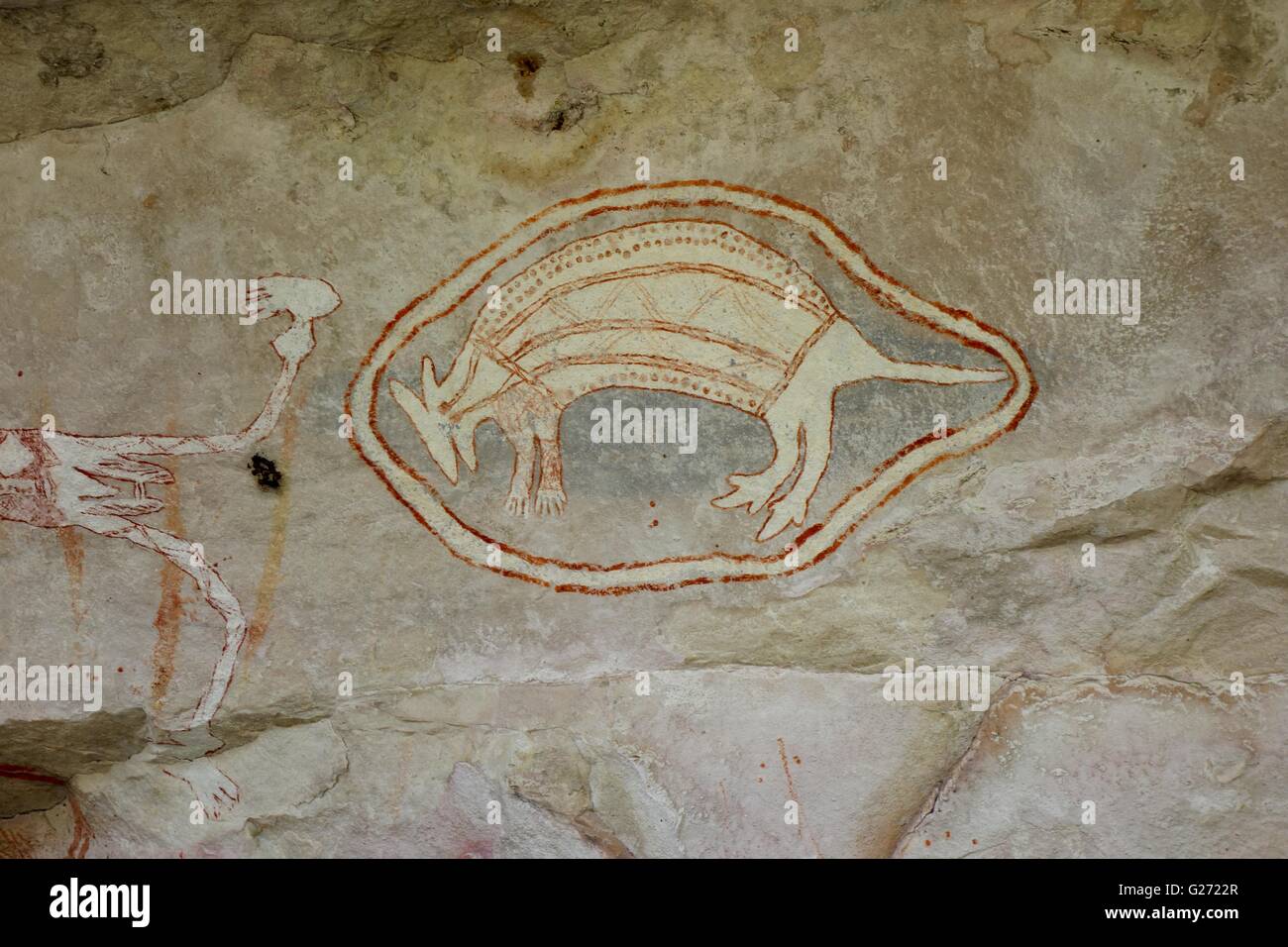 Peintures rupestres autochtones anciennes connu comme "rock art" trouvés au mont de la Rochère, à l'ouest de la terre d'Arnhem, dans le Territoire du Nord, Australie Banque D'Images