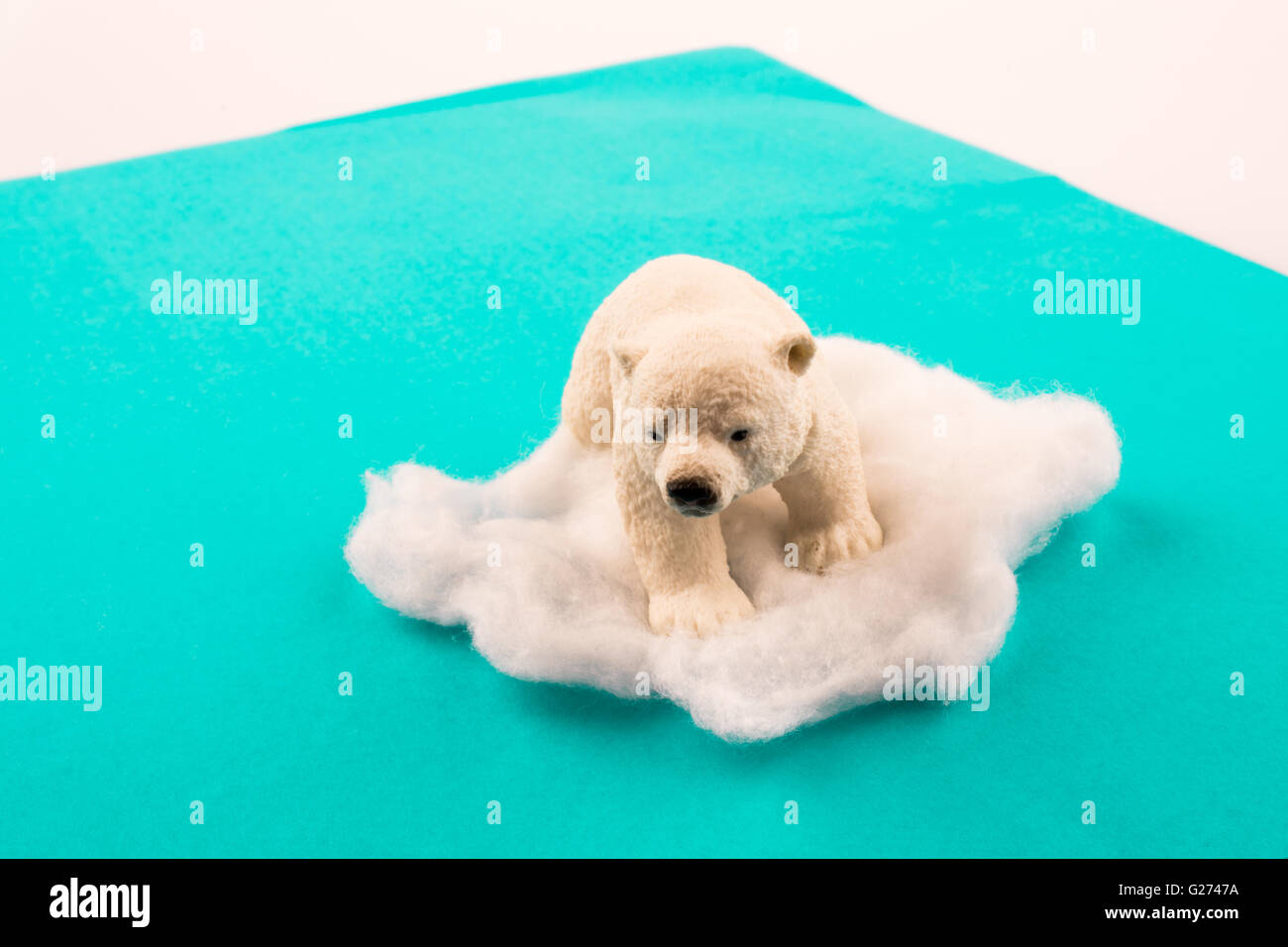 Ours polaire sur la glace sur l'eau Banque D'Images