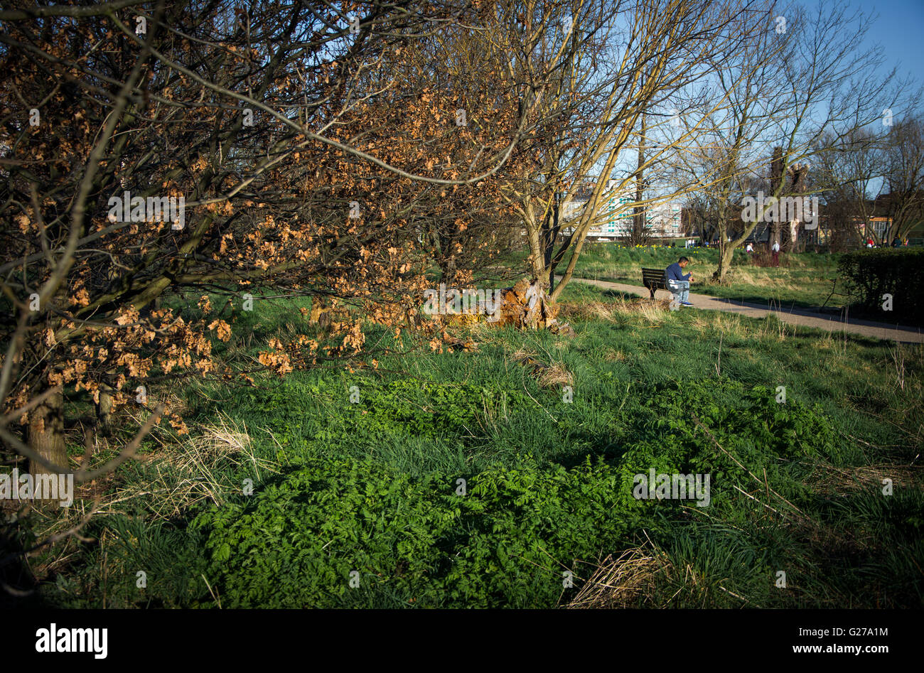 Feuillage en seigneurie Recreation Ground à Tottenham, au nord de Londres, UK Banque D'Images