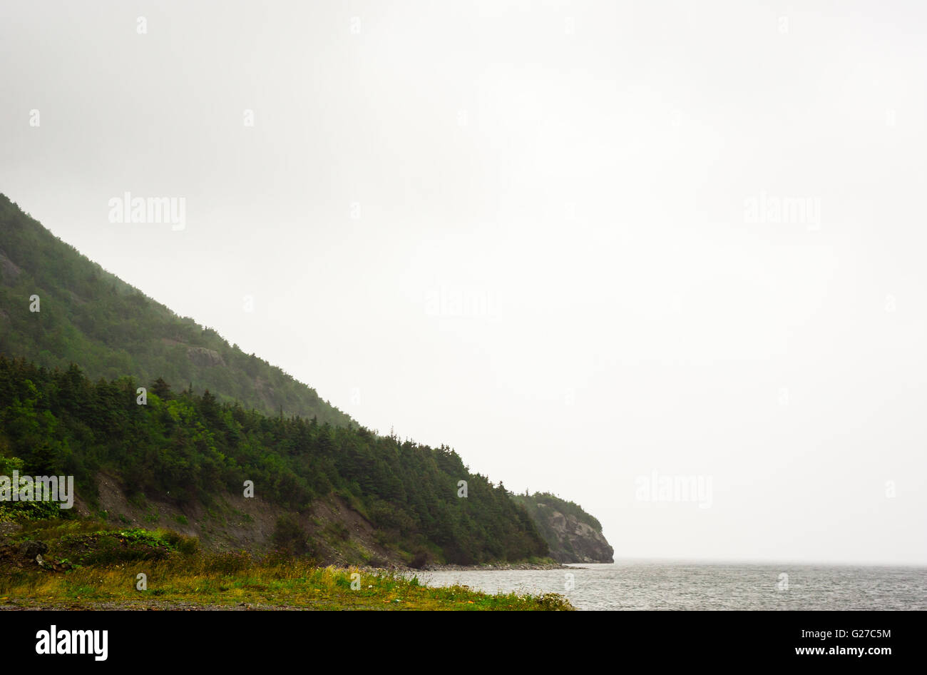 Bordure de la forêt en pente de montagne en diagonal dans l'eau contre le brouillard blanc, à Terre-Neuve, Canada. Banque D'Images