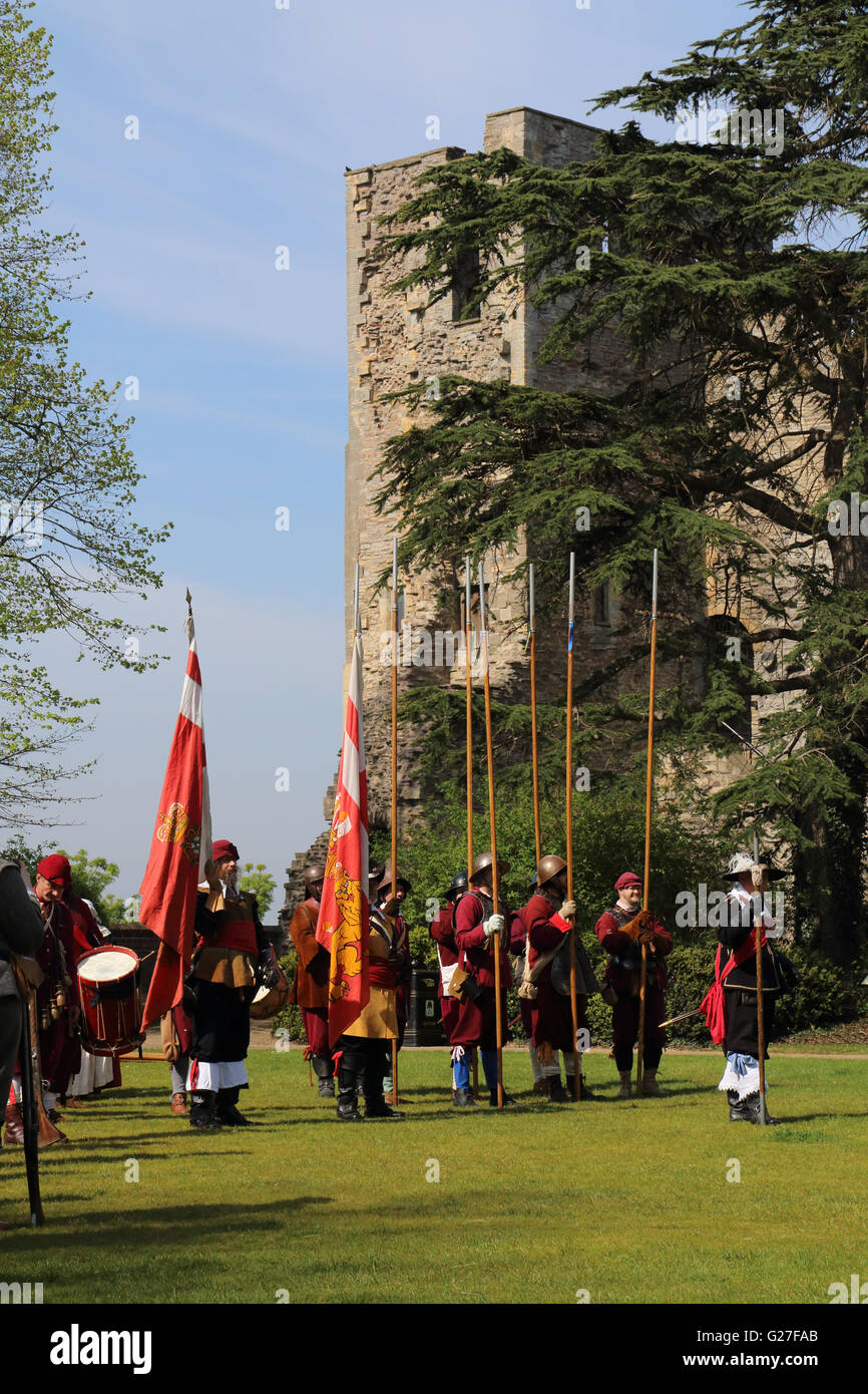 Le hogan-vexel société reenactment en formant des rangs dans les motifs de la Newark on Trent château anglais 1600's guerre civile Banque D'Images