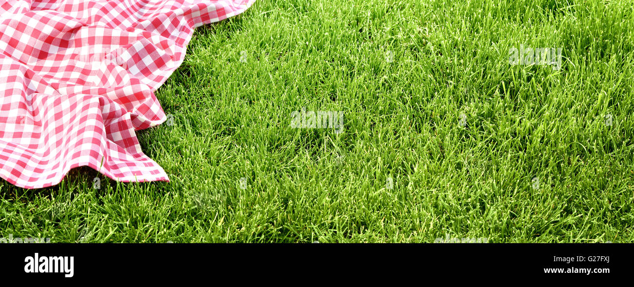 Chiffon de pique-nique sur prairie avec copie espace Banque D'Images