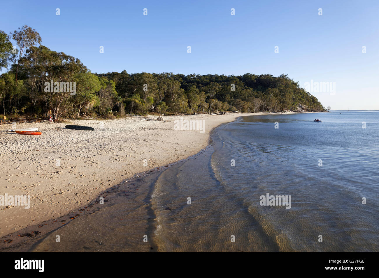 Plage de sable fin, Patrimoine Mondial de l'île Fraser, Great Sandy National Park, Queensland, Australie Banque D'Images