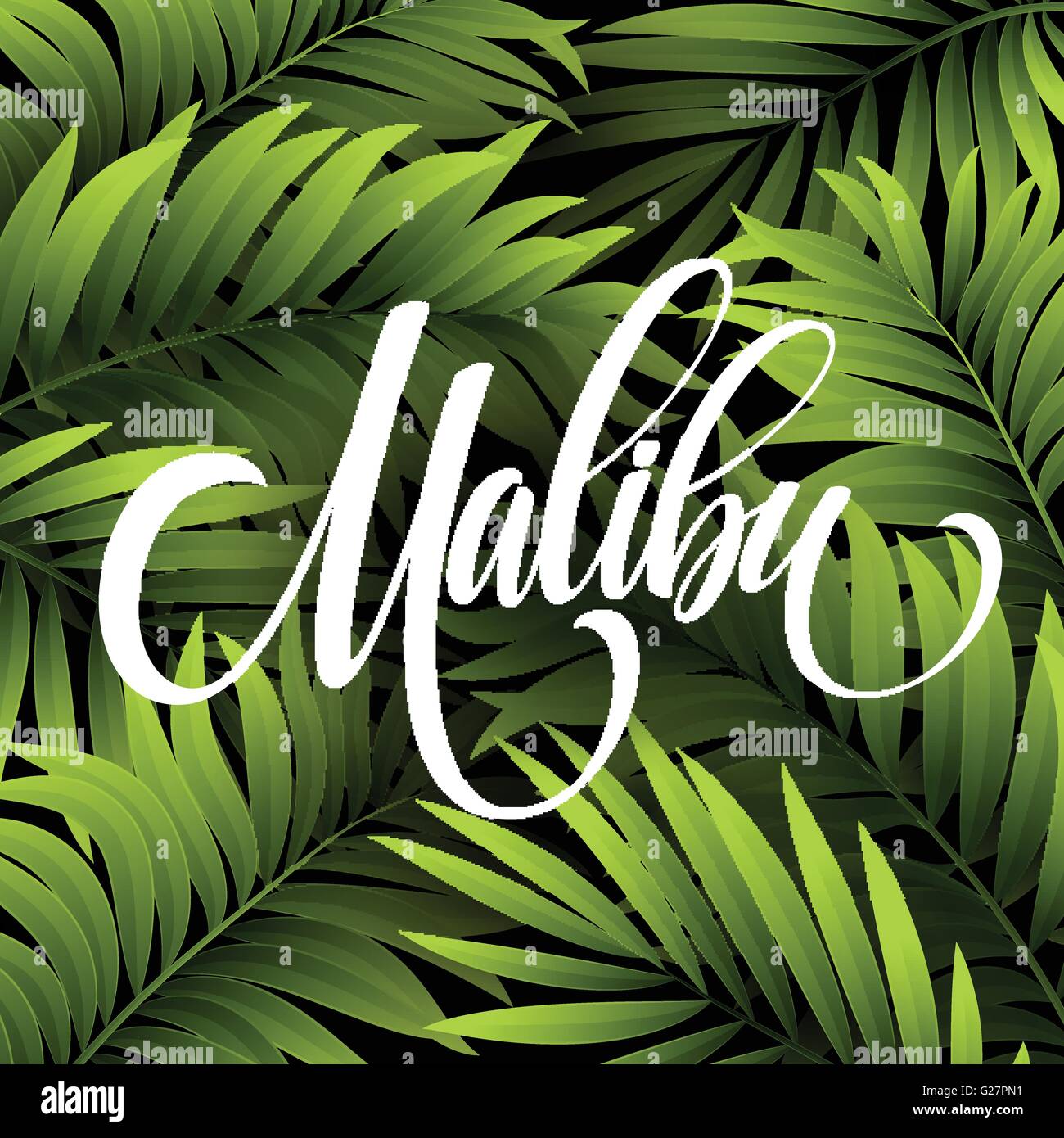 Malibu en Californie sur le lettrage de l'écriture, en feuille de palmier fond tropical. Vector illustration Illustration de Vecteur