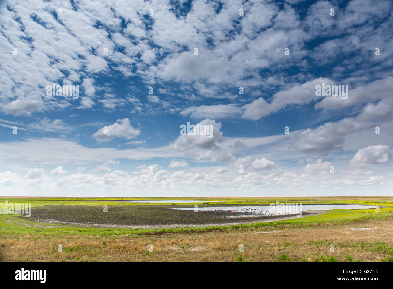 Vaste paysage, Liuwa Plains National Park, au nord ouest de la Zambie Banque D'Images