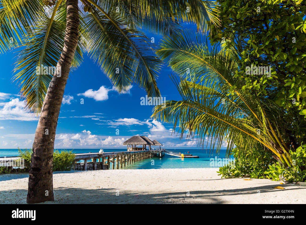 Belle plage tropicale, Maldives Banque D'Images