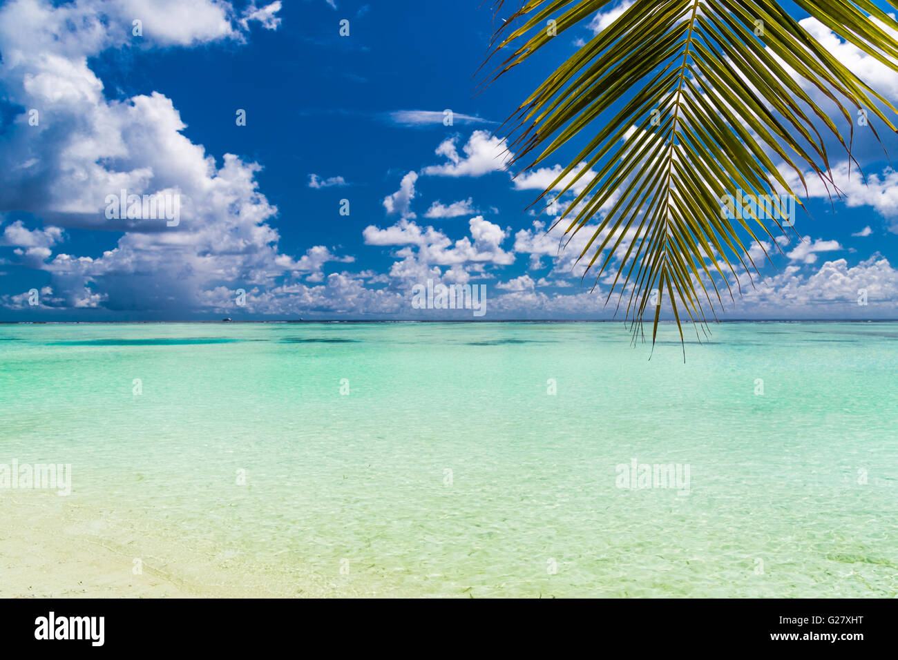 Belle plage tropicale, Maldives Banque D'Images