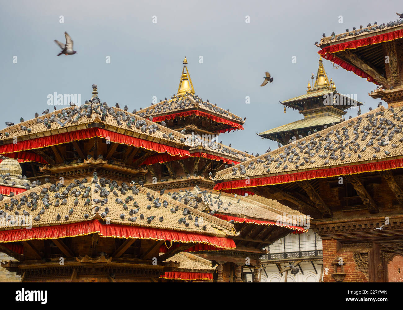 Pigeons sur les toits du temple à Katmandou Durbar Square au Népal. Banque D'Images