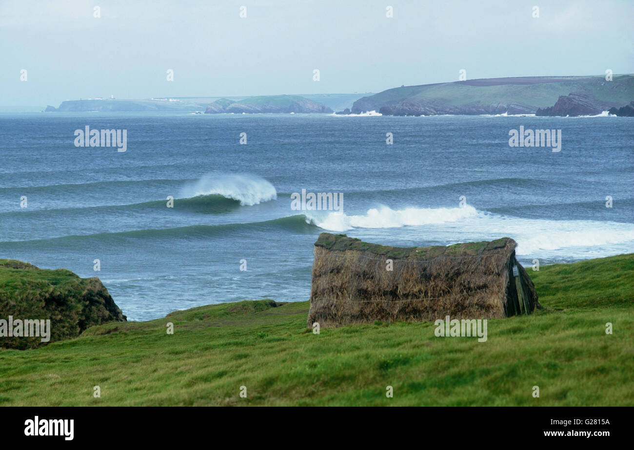 Laverbread hut pointe verte sur l'eau douce à l'Ouest avec les vagues de l'Atlantique de tubes et St Anne's Head visible en arrière-plan Banque D'Images