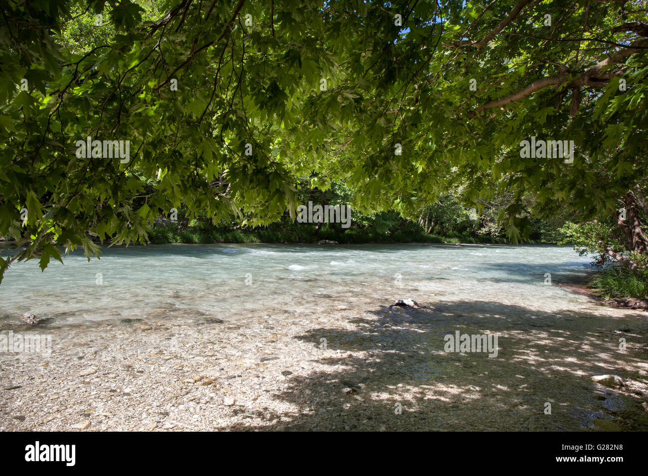 Paysage d'été avec River, rivière et beaucoup d'arbres verts. Banque D'Images