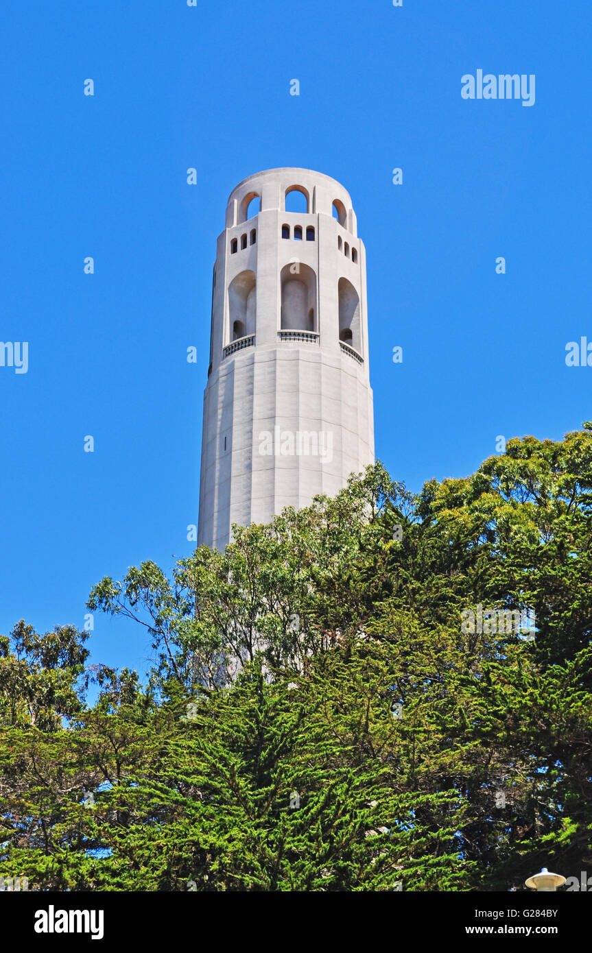 San Francisco : skyline avec vue sur la Coit Tower, construite en 1933, également connu sous le nom de Lillian Coit Memorial Tower, une tour de 210 pieds dans un style Art Déco Banque D'Images