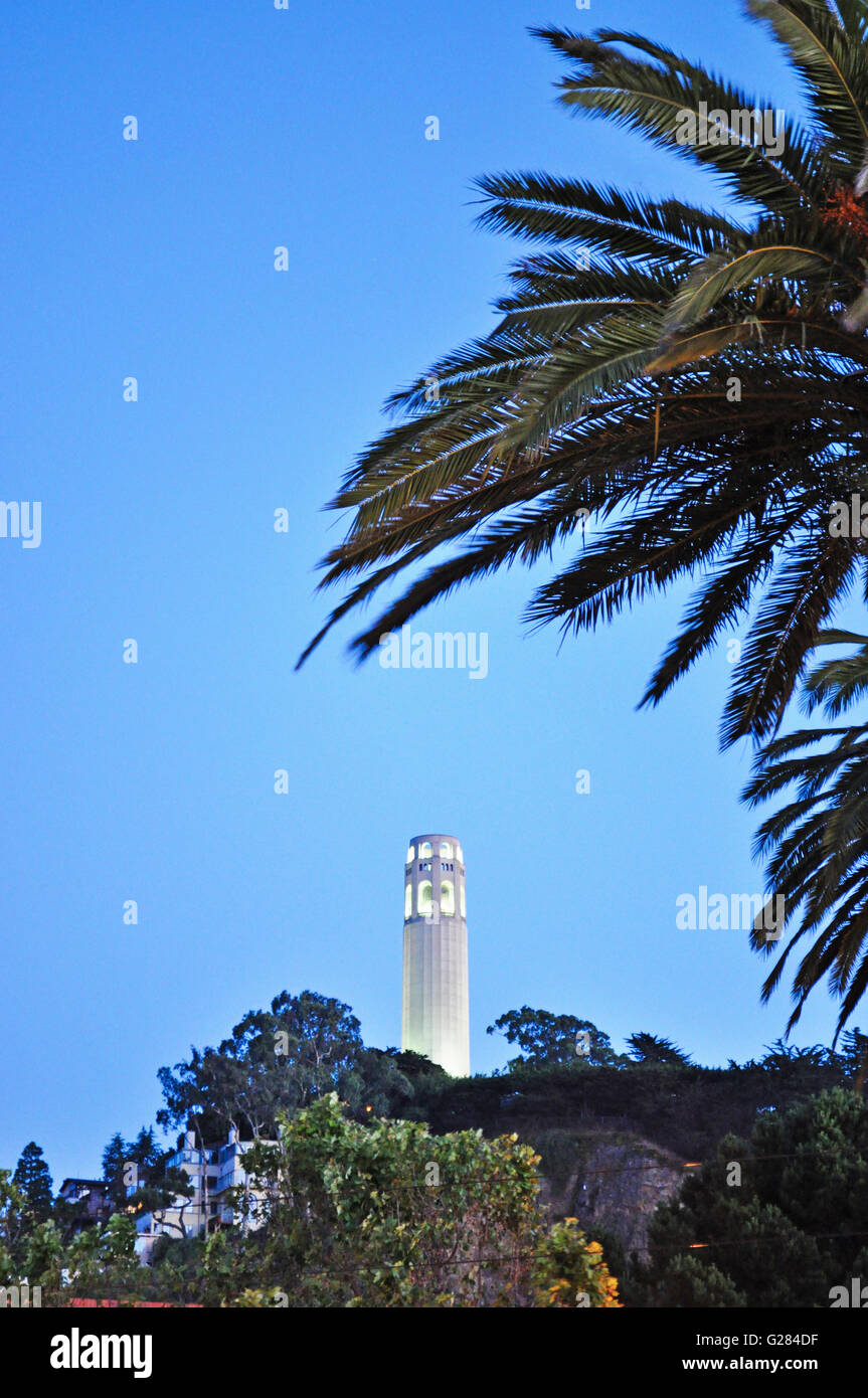 San Francisco : skyline avec vue sur la Coit Tower, construite en 1933, également connu sous le nom de Lillian Coit Memorial Tower, une tour de 210 pieds dans un style Art Déco Banque D'Images