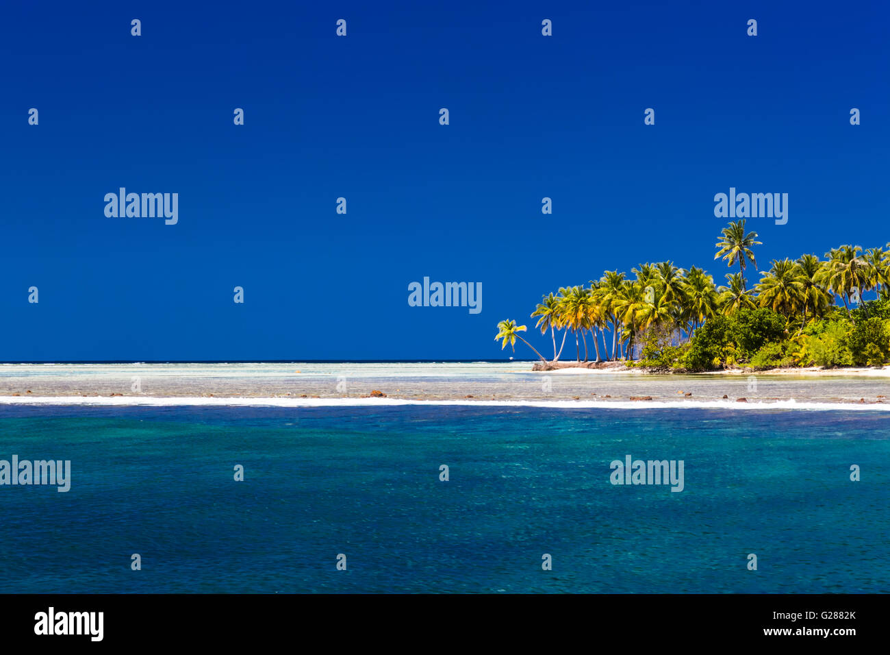 Plage tropical parfait aux Maldives avec quelques palmiers et blue lagoon Banque D'Images