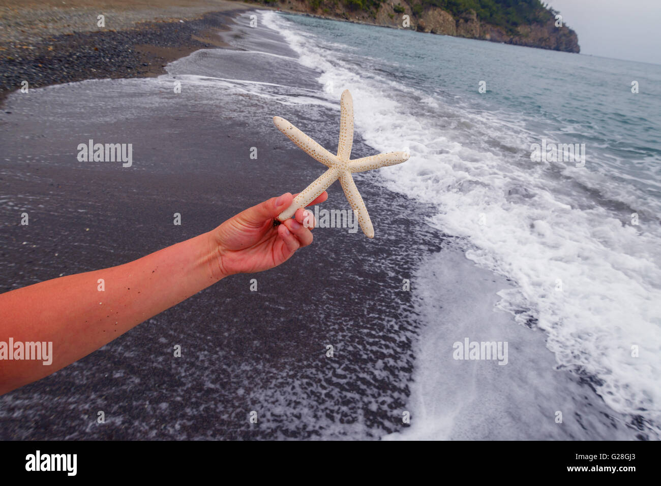 Beau paysage marin avec des étoiles de mer méditerranée Banque D'Images