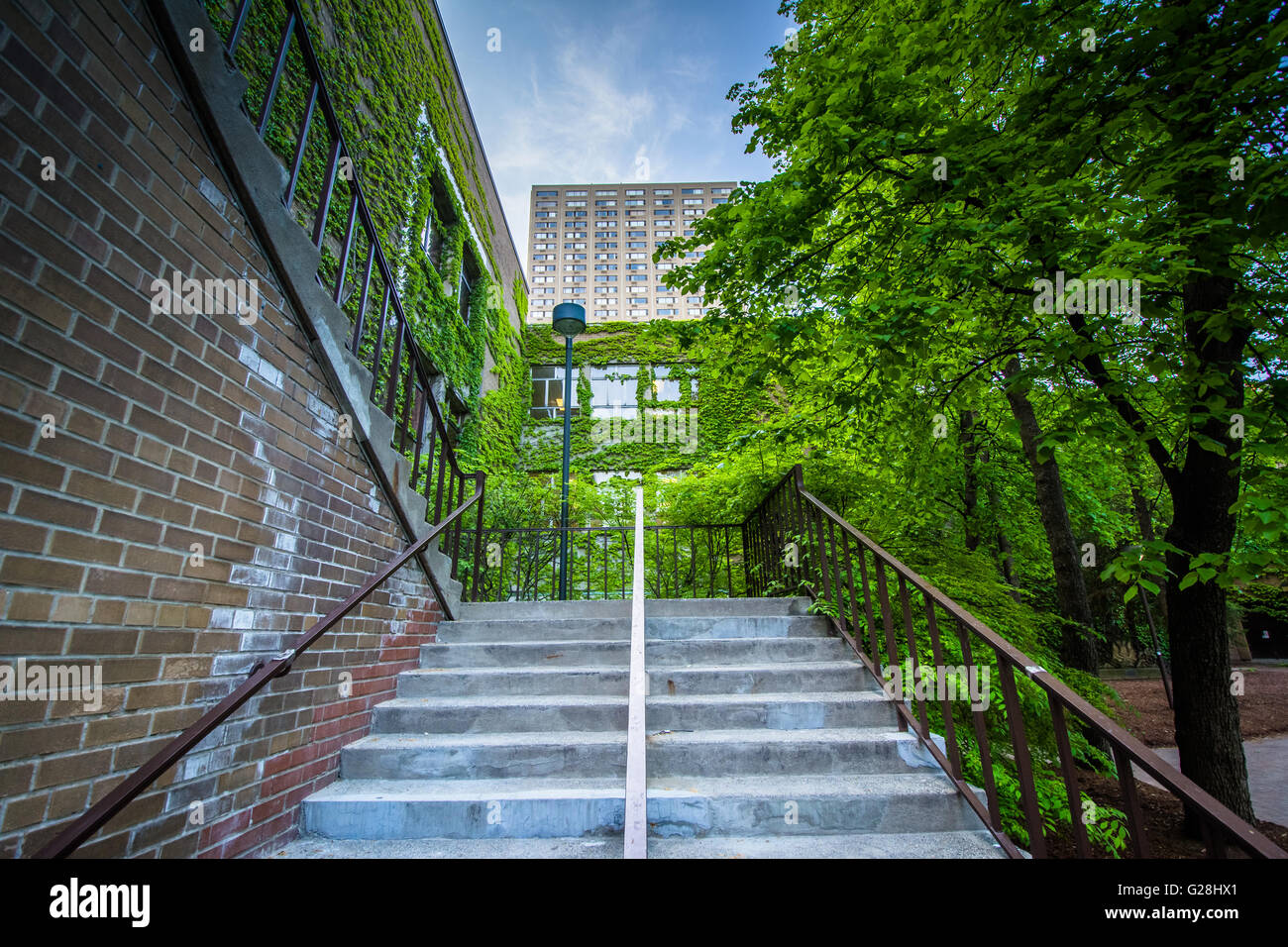 Des escaliers et des capacités de l'Université Ryerson, à Toronto, en Ontario. Banque D'Images