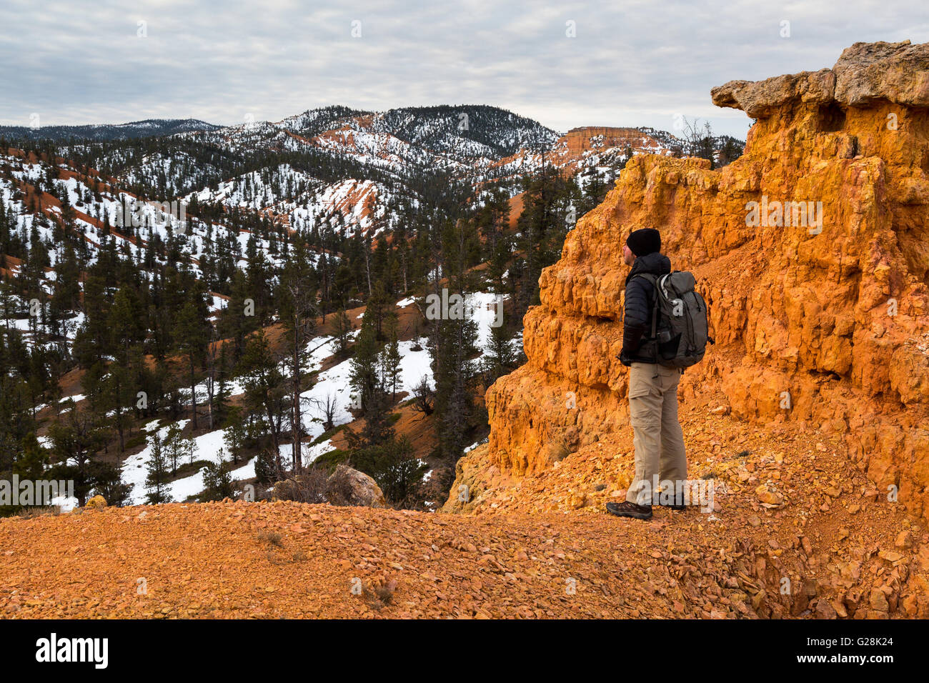 Un adulte male hiker se dresse sur une crête surplombant le Canyon de grès rouge. L'Utah Banque D'Images