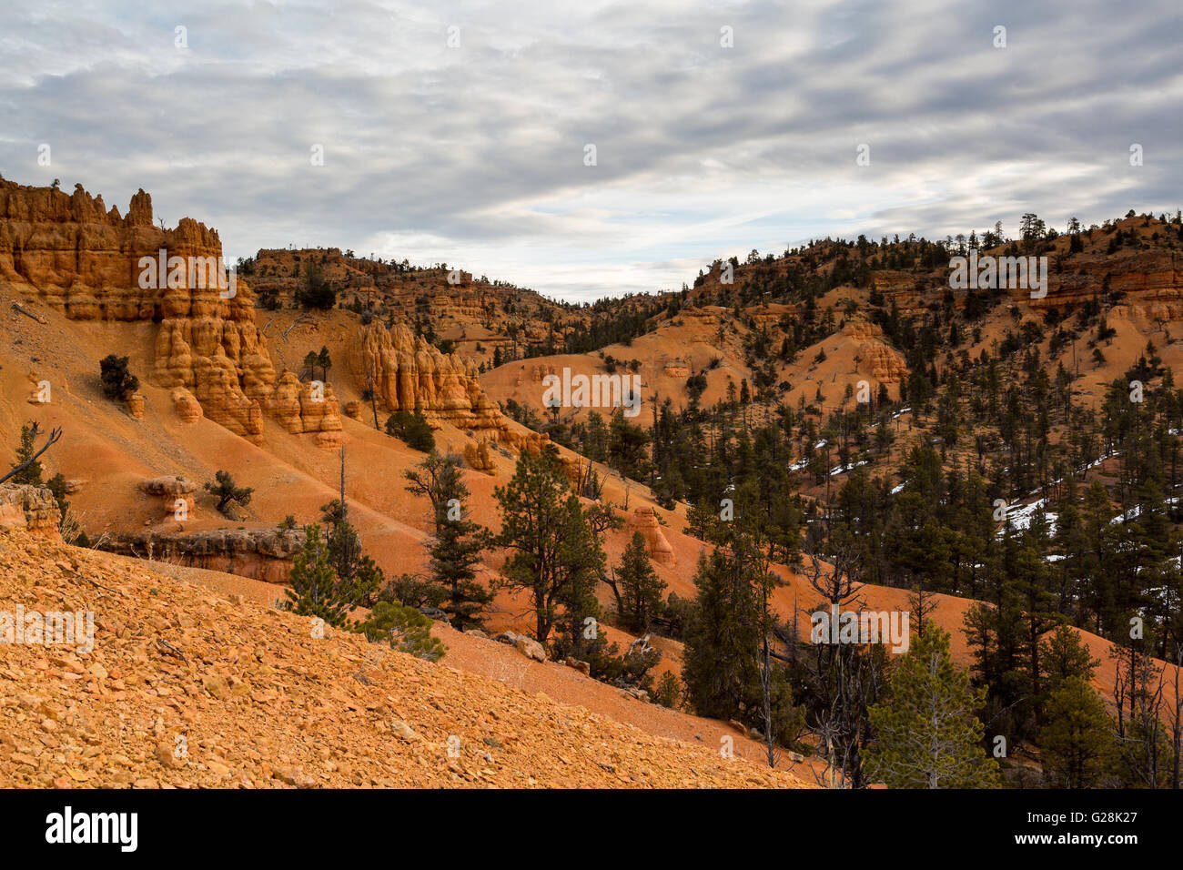 La fonte de neige, des collines de Red Canyon. Dixie National Forest, Utah Banque D'Images