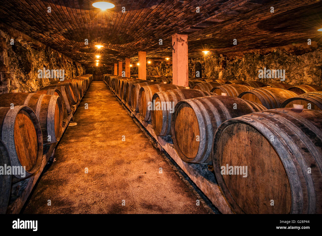 La Slovénie et la côte de Slovénie Karst Karst - -Vins - Cave Komen Gorjansko VIna Cotar -Utilisé de barils de Rovere Banque D'Images