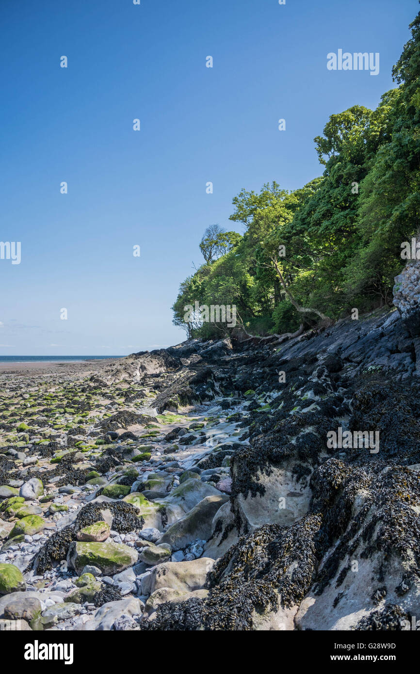 Oxwich Bay on the Gower Peninsular, pays de Galles du Sud, Royaume-Uni Banque D'Images