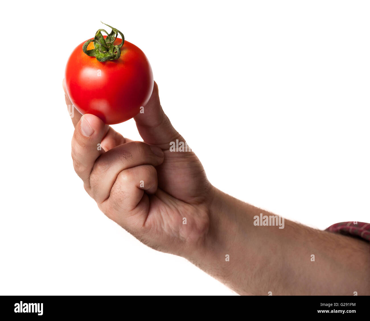 Une tomate rouge tenue par 3 doigts isolé sur fond blanc Banque D'Images
