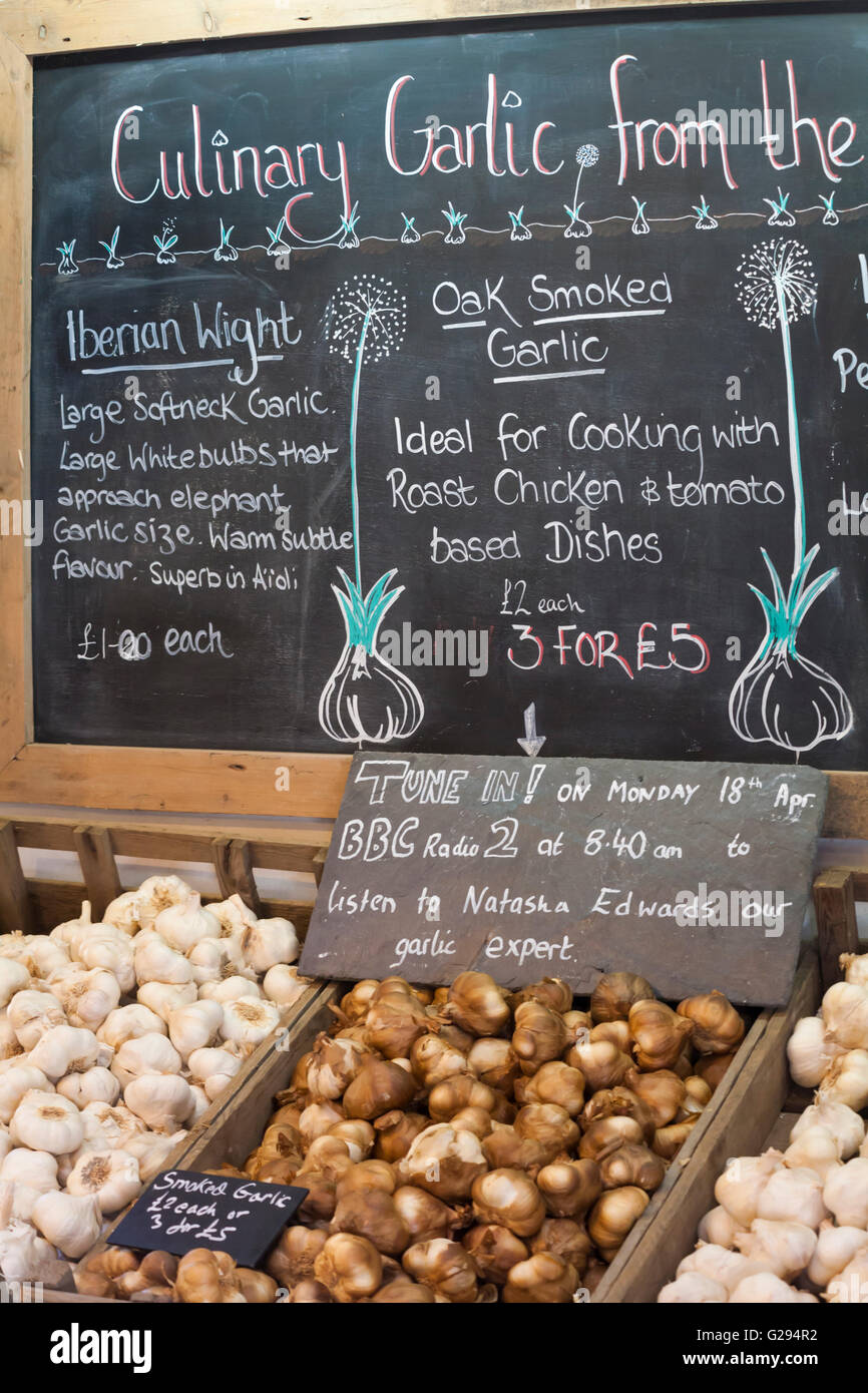 Détails de l'ail culinaire sur le tableau noir à Garlic Farm à Newchurch, île de Wight, Hampshire, Royaume-Uni en mai Banque D'Images