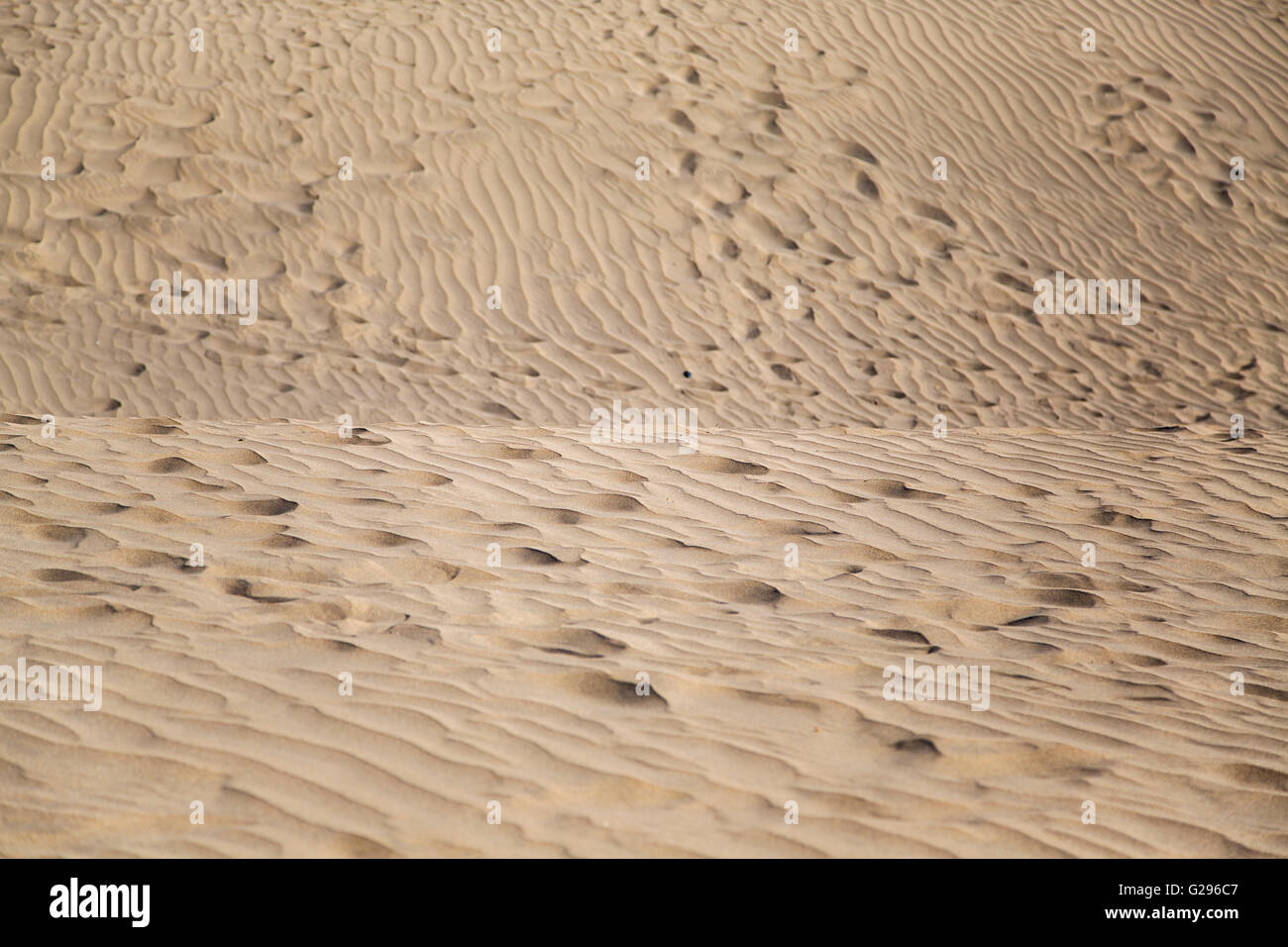 Vue en gros à la texture du sable Banque D'Images