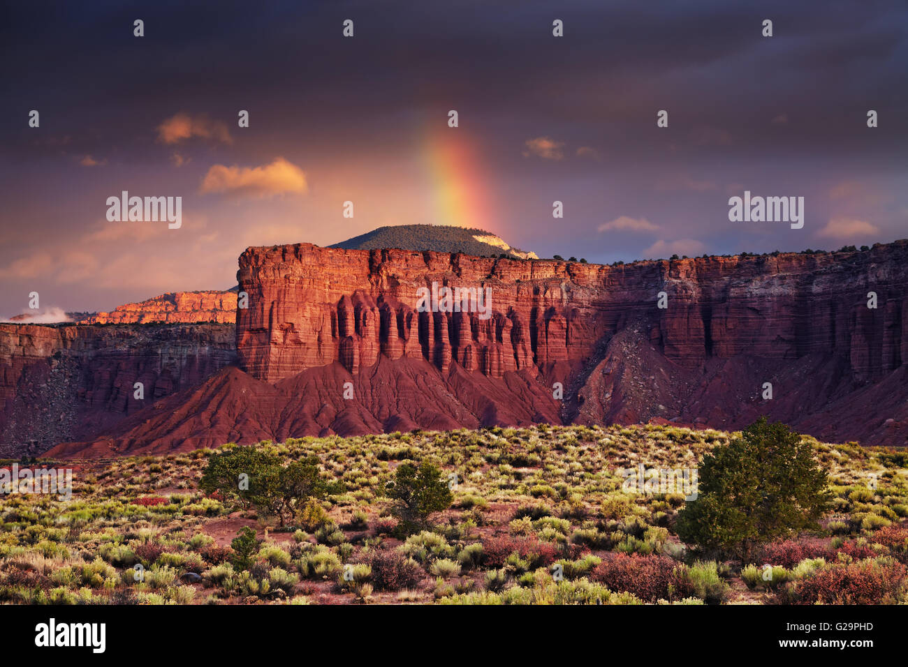 Des formations de roche rouge, sunrise près de Torrey, Utah, USA Banque D'Images