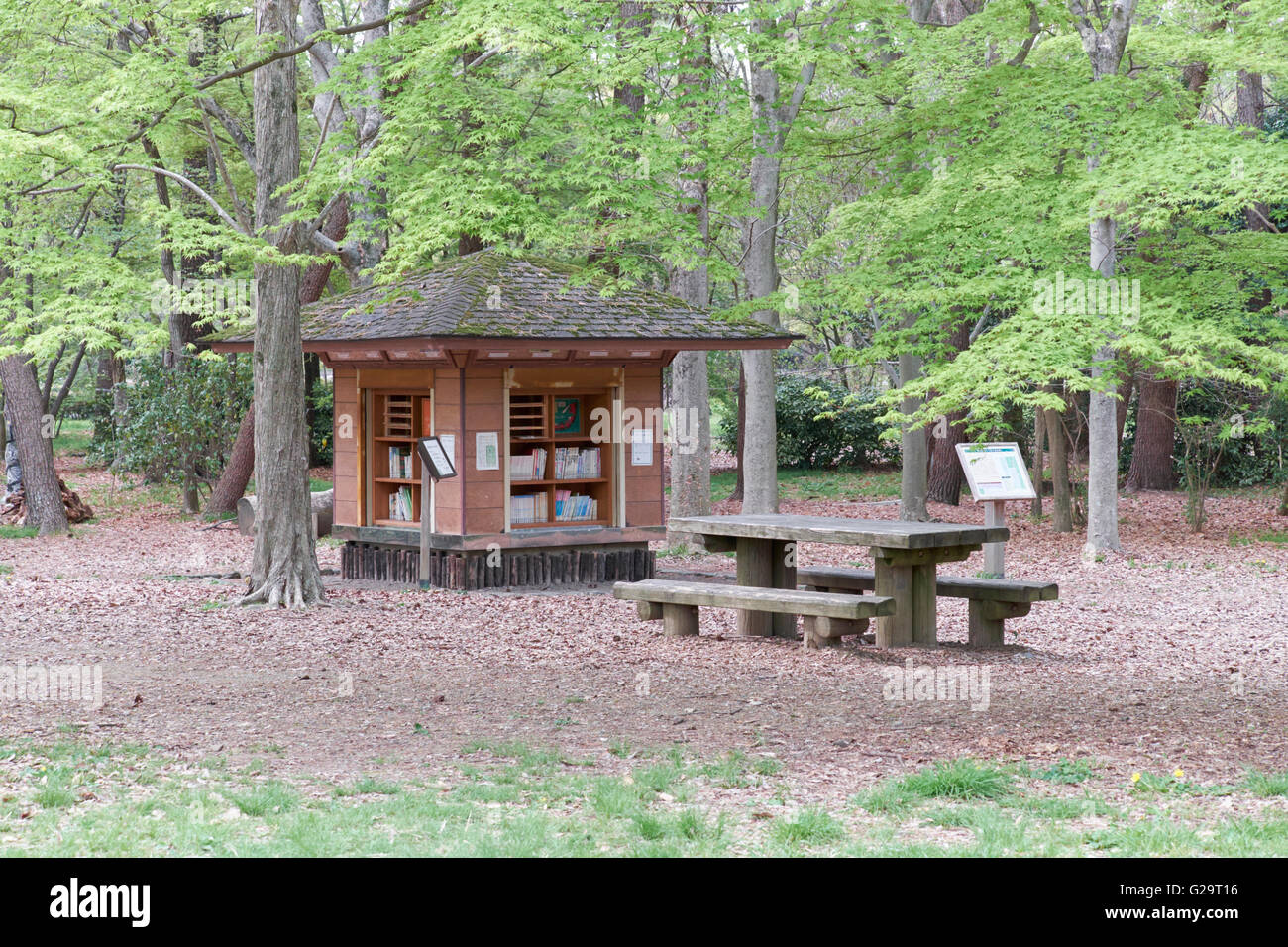 Bibliothèque de la forêt, LE JARDIN NATIONAL DE KYOTO, KYOTO GYOEN, JAPON Banque D'Images