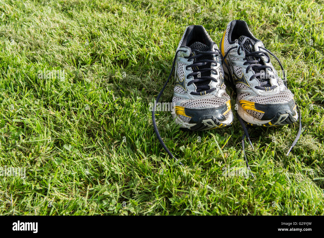 Une paire de vieilles chaussures de course à pied/chaussures d'entraînement sur de l'herbe fraîchement coupée. Banque D'Images
