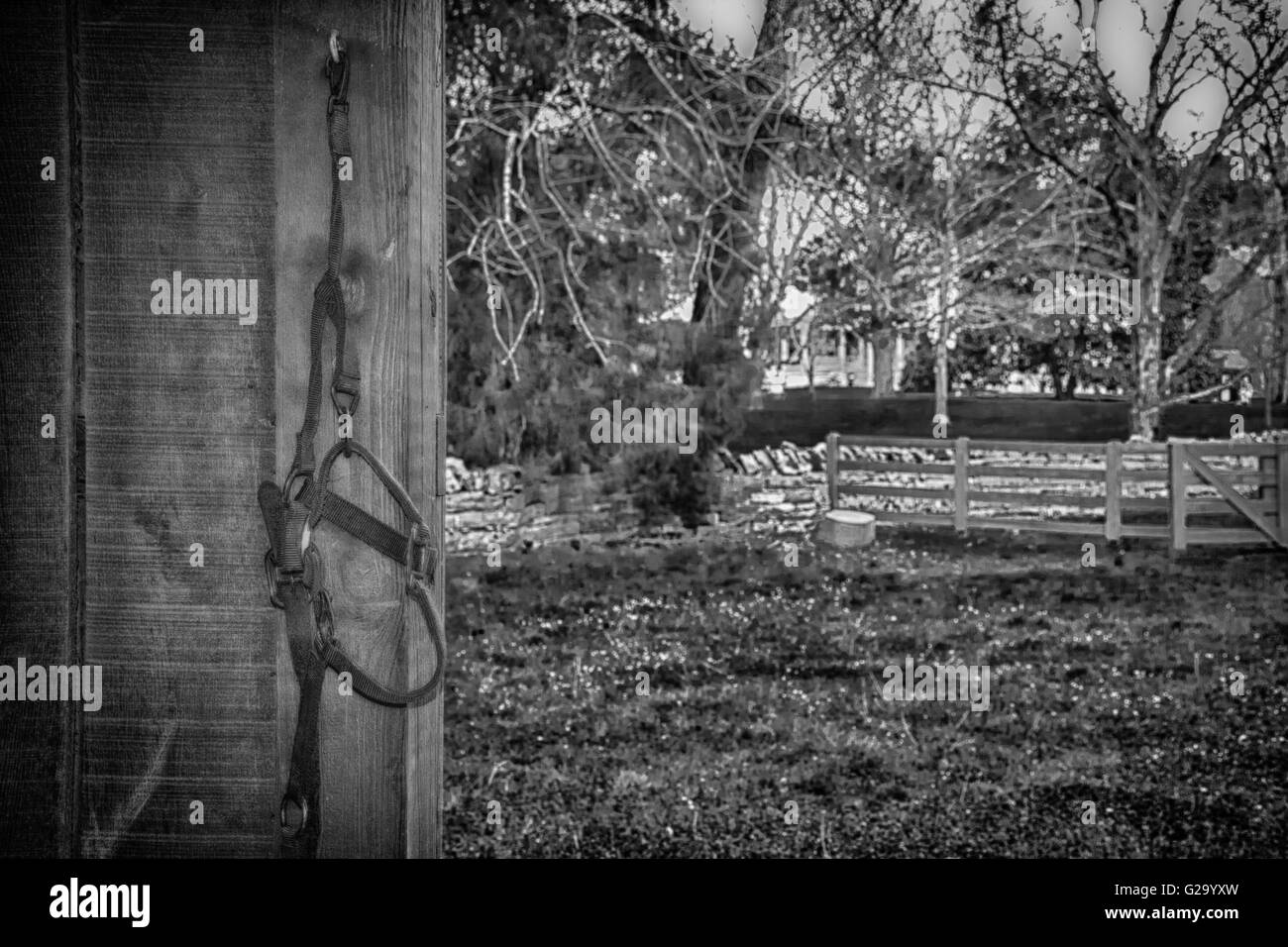Laiton, cuir et tissu s'interrompt sur le faisceau du cheval de crochet de mur de la grange avec une clôture, mur de pierre et blanc maison agrémentée de distance Banque D'Images