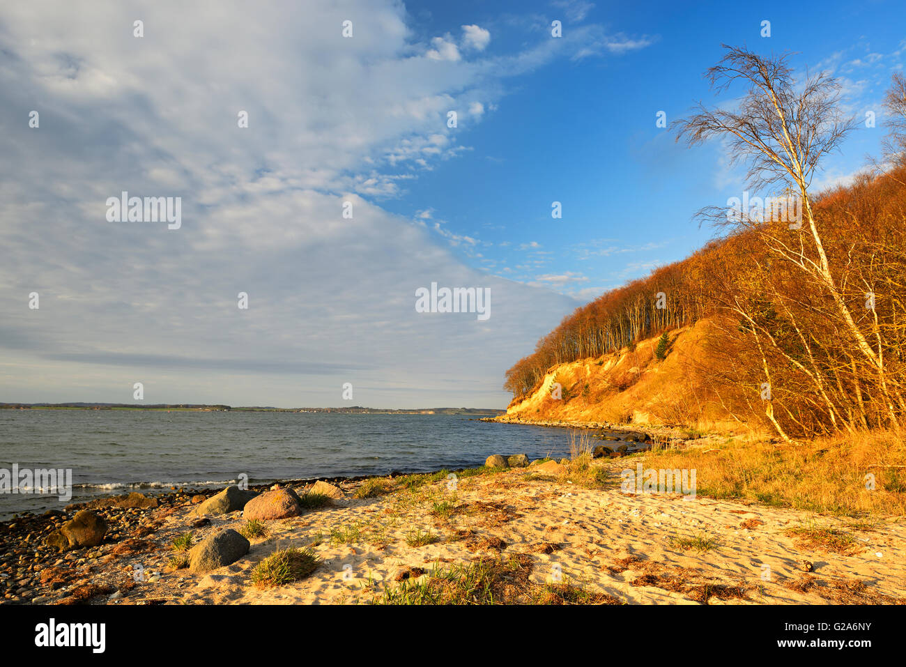 Littoral, falaises, rochers et forêts côtières, Grand Zicker, péninsule Mönchgut, Réserve de biosphère du sud-est de Rügen, Usedom Banque D'Images