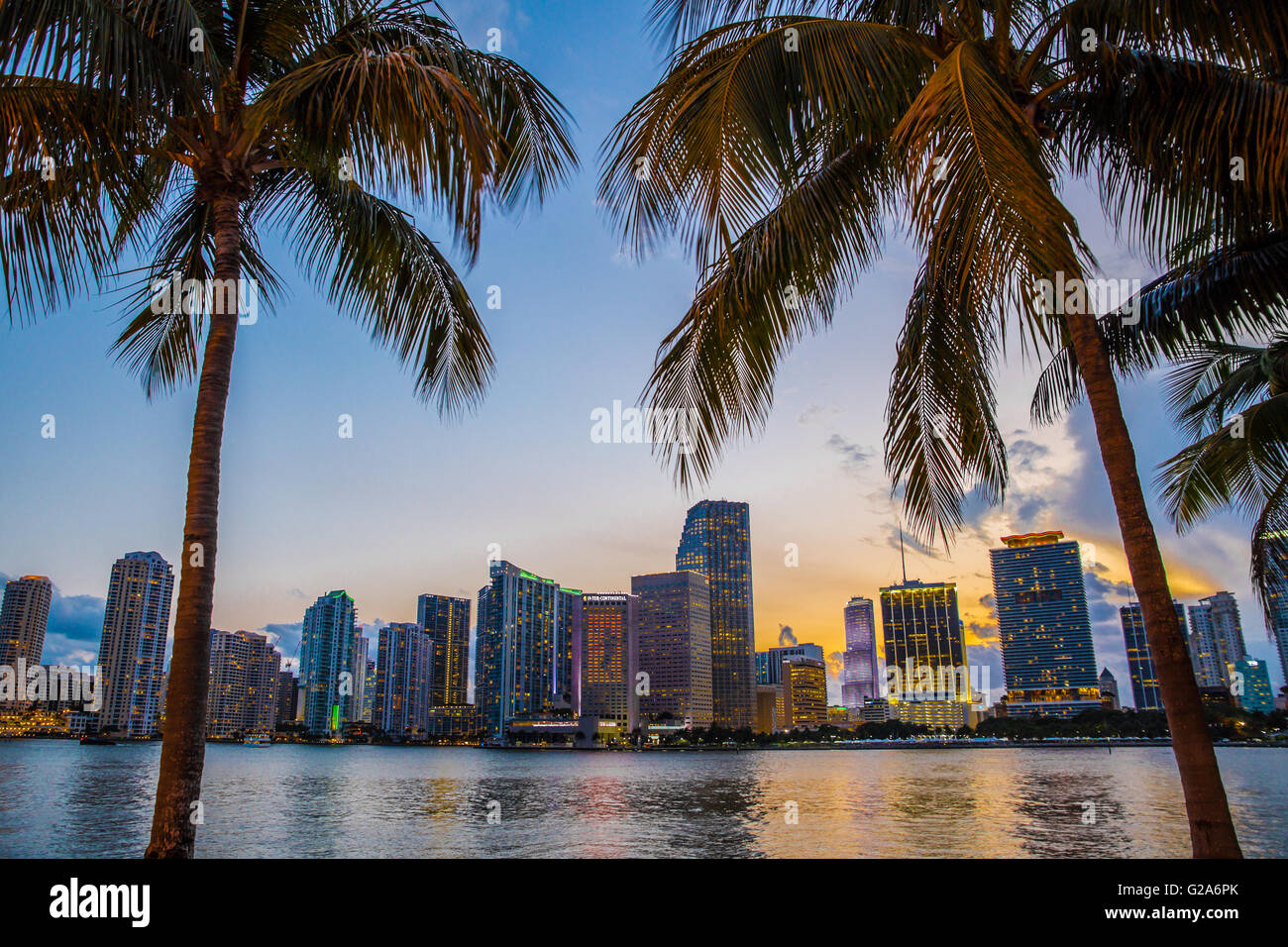Belle vue de la Floride Miami skyline at night vu à travers les palmiers Banque D'Images