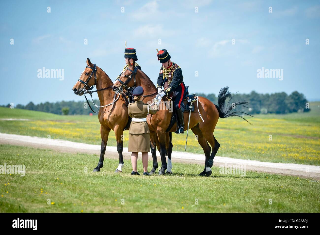 Soldats à cheval de la troupe du Roi Royal Horse Artillery col sur le Capitaine Général de la direction de l'Artilleur Mischa Callis, pour être présenté à la reine Elizabeth II lors d'un examen de l'Artillerie royale sur leur tricentenaire au BR l'artillerie, Artillerie royale, Salisbury, Wiltshire. Banque D'Images